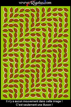 illusion d'optique